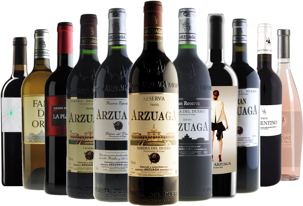 Solo-botellas - Arzuaga Navarro Arzuaga Reserva - Red Wine (1080x779), Png Download