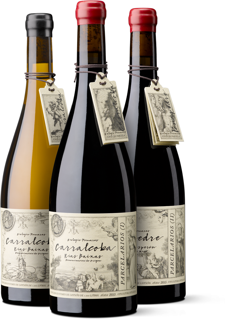 Parcelarios - Label (900x1560), Png Download