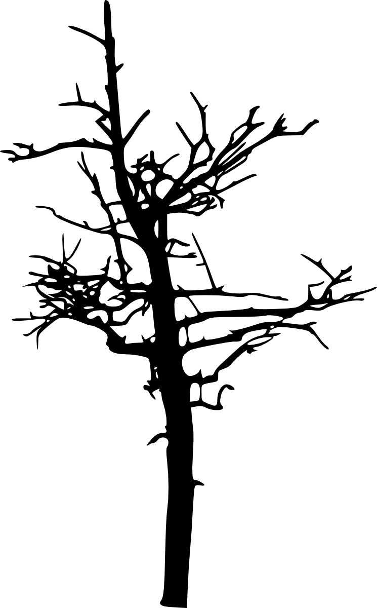 Free Download - Silhouette Tree Dead (745x1200), Png Download