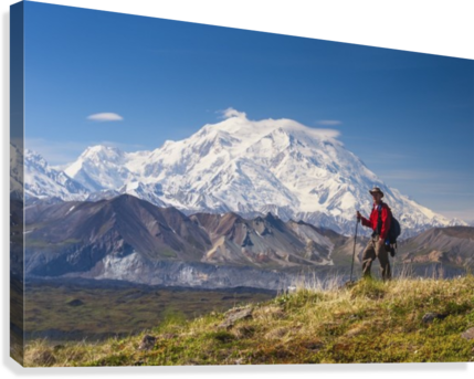 Hiker On A Hillside In Front Of Mt - Muldrow Glacier Denali (429x343), Png Download