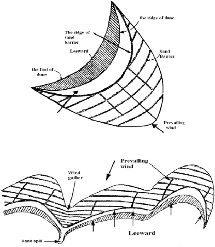 Controlling Sand Movement Through Mechanical Measures - Plot (710x814), Png Download