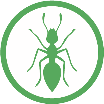 Hormiga - Ant (365x365), Png Download