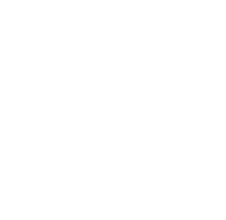 Hormiga Shield White - Araneus (1182x1182), Png Download