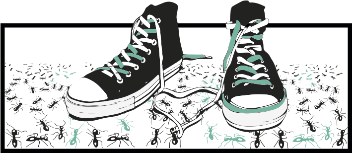 Hormigas En Casa - Puma Basket Classic (708x349), Png Download