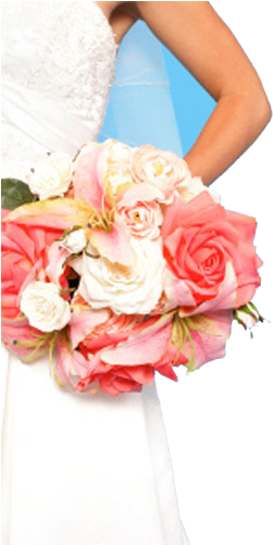 Novia - Adirondack Mountains (260x500), Png Download