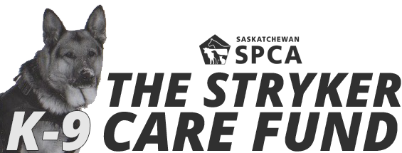 Program Overview - Peruvian Hairless Dog (565x215), Png Download