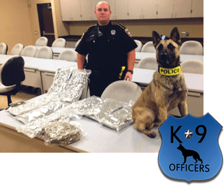 So, Just How Much Do These Wonderful Creatures Help - Police Dog (437x363), Png Download