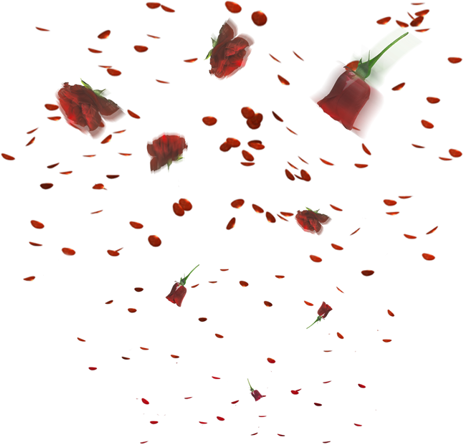 Floating Flower Png - Illustration (1000x1600), Png Download