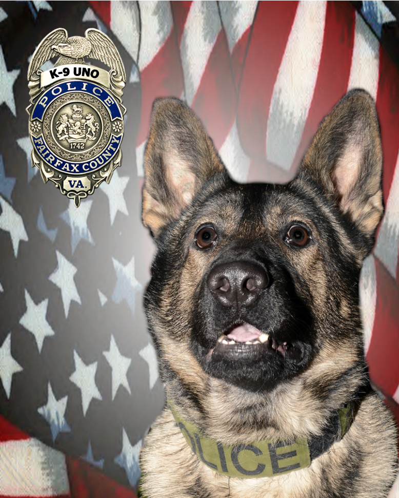 07172013uno K915 - Fraud Detection (778x970), Png Download