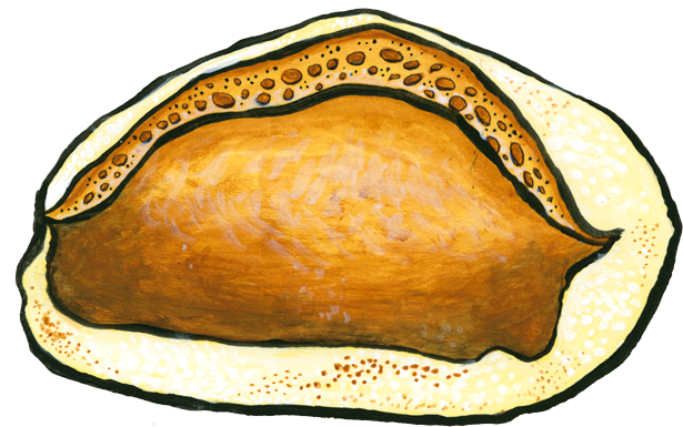 Bread (629x408), Png Download
