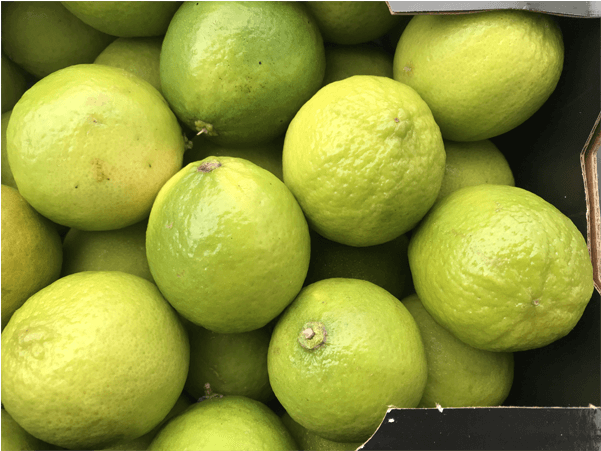 Limón Verde - Persian Lime (600x600), Png Download