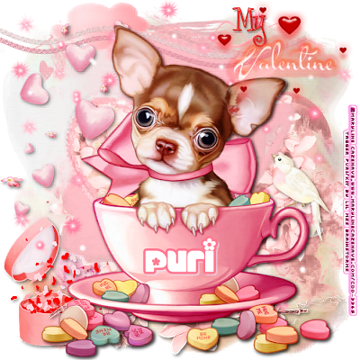 Mi Rincón Gótico - Dog (400x400), Png Download