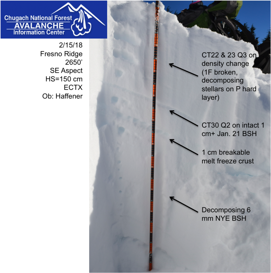 21 And Nye Bsh At 2nd Snow Pit At 2650' - Tree (1024x884), Png Download