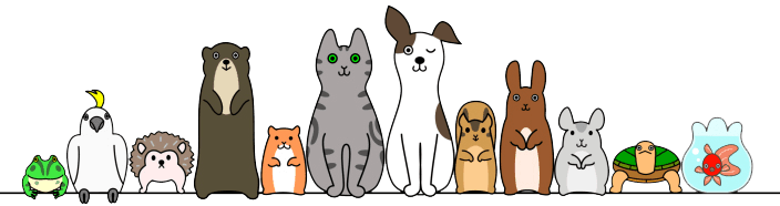 Weekly Specials Whiteway Pet Shop In Elizabeth, Nj - Pet (704x186), Png Download