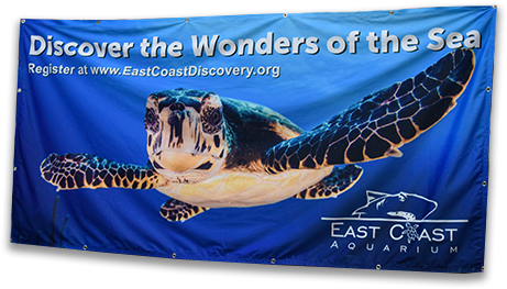 Custom Printed Fabric Banners - Hawksbill Sea Turtle (500x500), Png Download