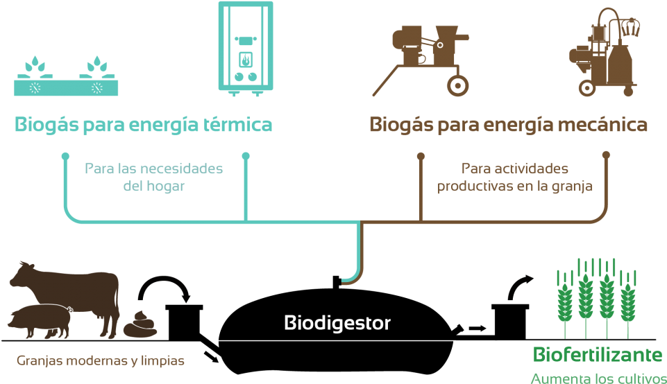 Los Beneficios De Un Biodigestor Sistema Biobolsa - Sistema Biobolsa (1024x640), Png Download