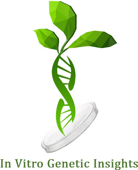 Regeneration Of Differentiated Organisms From Single - Plant Genes (500x613), Png Download