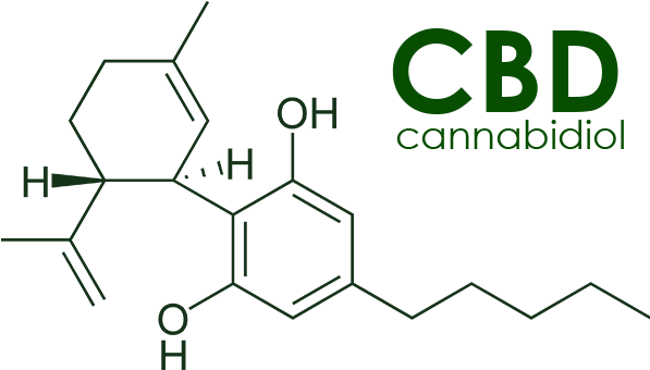 The Two Main Groups Of Molecules With Bioactive Properties - Cbd Molecule (650x375), Png Download