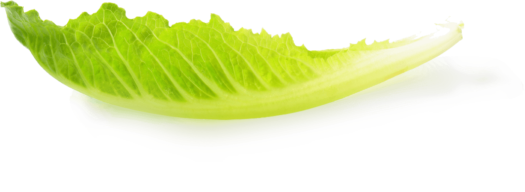 A Fresh Approach To Business Lending - Lettuce (1062x389), Png Download