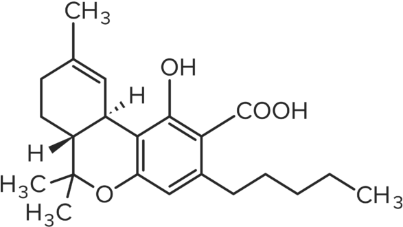 Molecules For Website Final 03 - Cannabidiolic Acid (600x350), Png Download