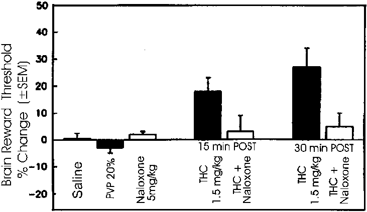 Thc-induced Decrease In The Brain Reward Threshold - Diagram (731x423), Png Download