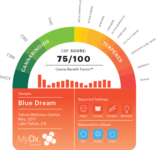How A Chemical Profile Makes You Feel And What It Helps - Cannabis Chemical Profile (633x609), Png Download