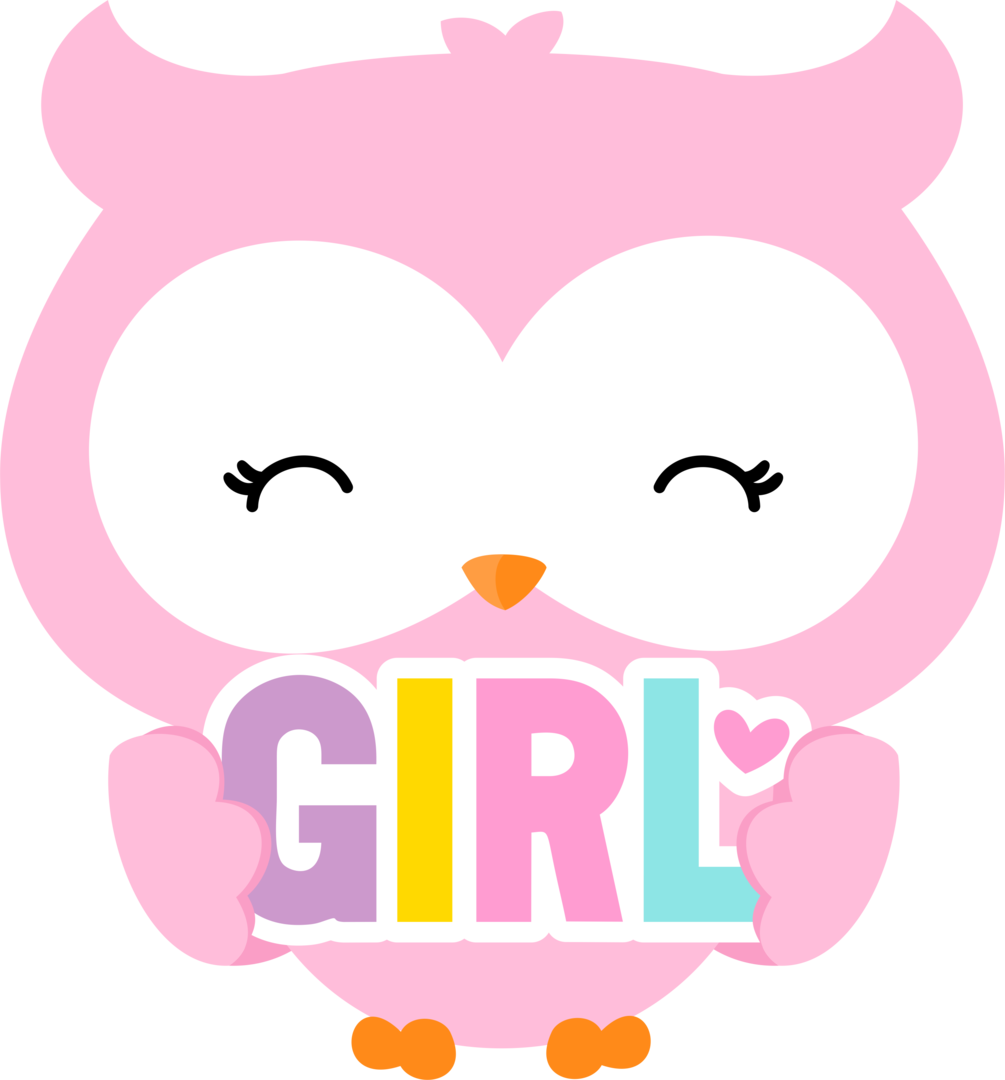 Ver Todas Las Imágenes De La Carpeta Png Owl Png, Baby - Owl (1005x1080), Png Download