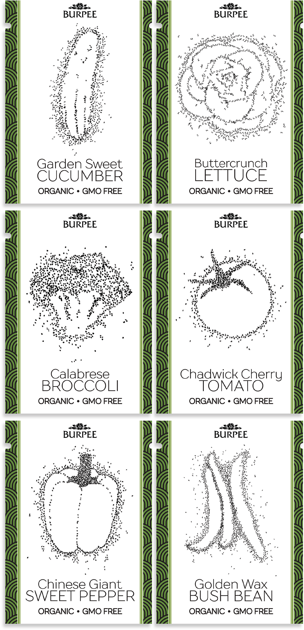 Seeds Looked Like And Illustrated The Vegetable Using - Illustration (1920x2694), Png Download