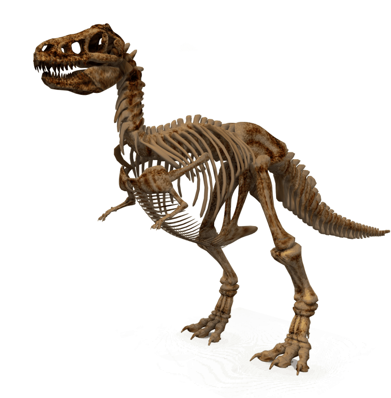 Free Png Dinosaur Png Images Transparent - Dinosaur Png (850x809), Png Download