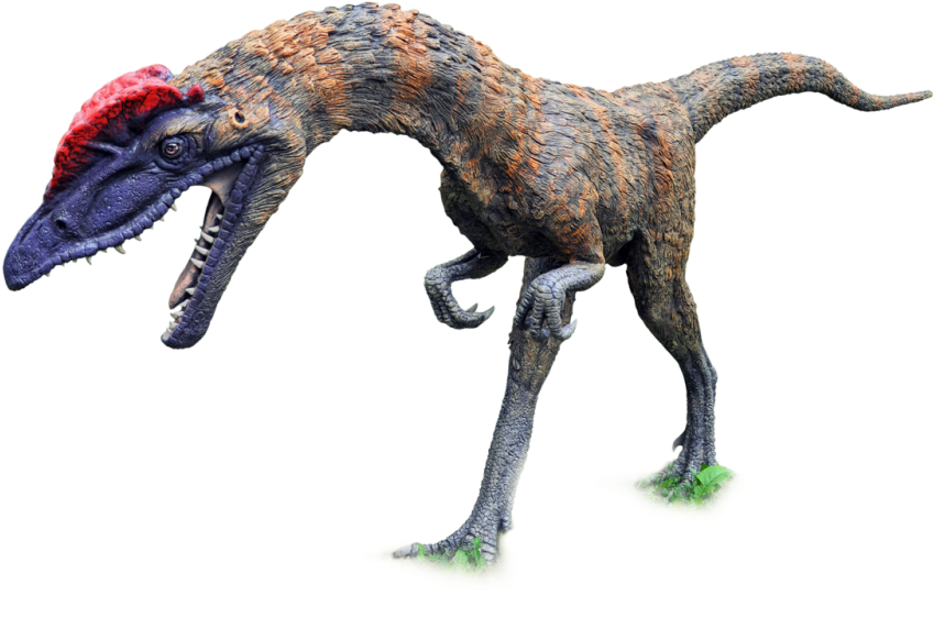 Download Dinosaur Png Clipart 149 - Dinosaur Png (1000x664), Png Download
