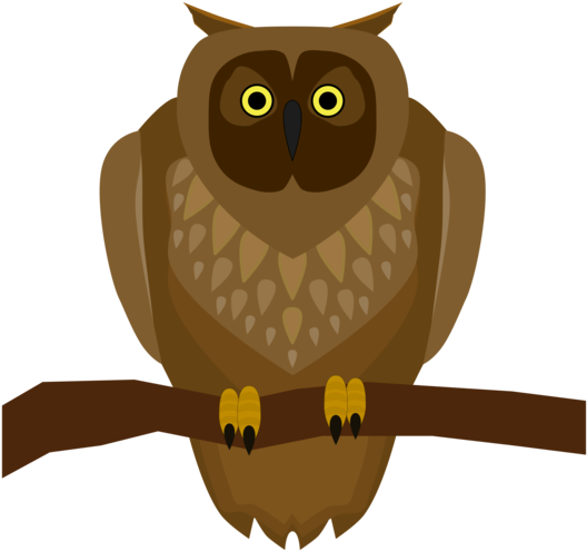Owl Bird Drawing Worksheet Child - Brown Owl Shower Curtain (530x750), Png Download