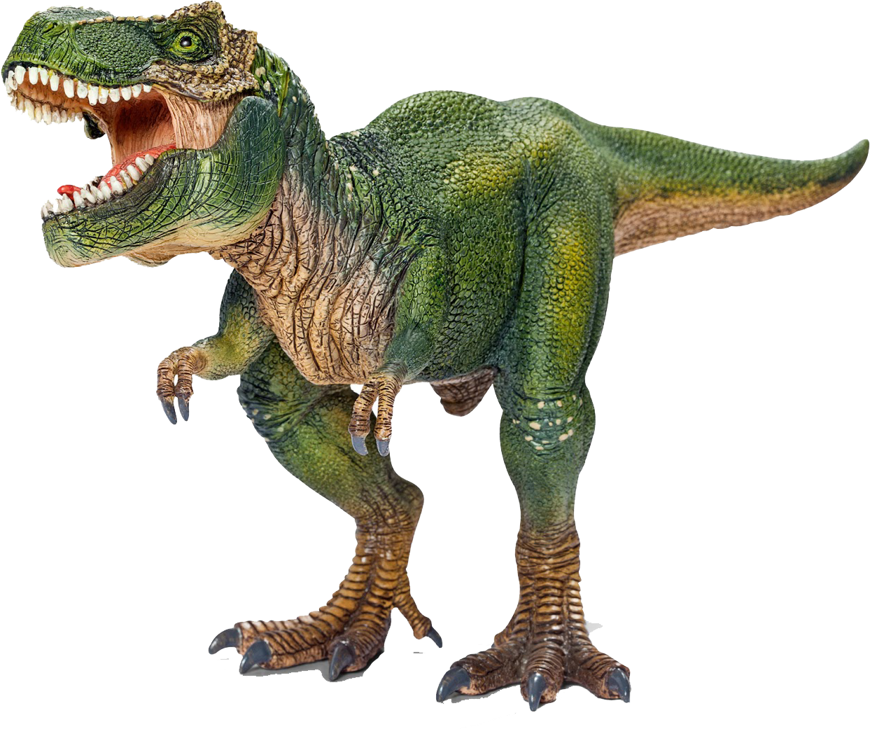 Schleich - Dinosaurs - Tyrannosaurus Rex (1417x1600), Png Download