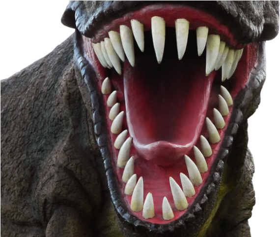 Dinosaur Png Transparent Images - Dinosaur Head Png (640x480), Png Download