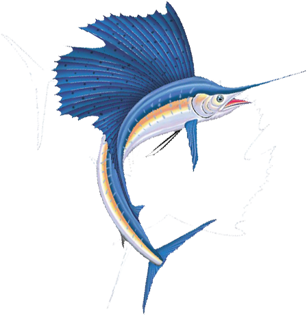 Sailfish 3 - Sailfish Png (500x500), Png Download