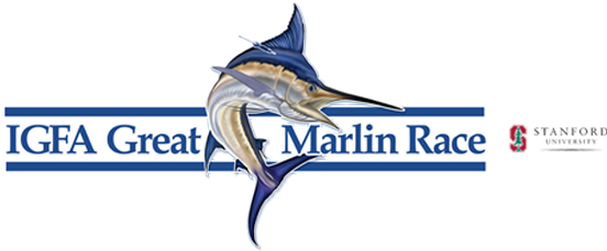 Atlantic Blue Marlin (568x228), Png Download