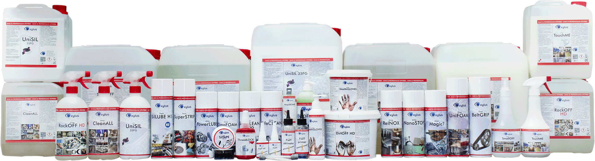 20pcs Púrpura Fantasma Azul Árbol De Arce Japonés, - Box (1920x520), Png Download