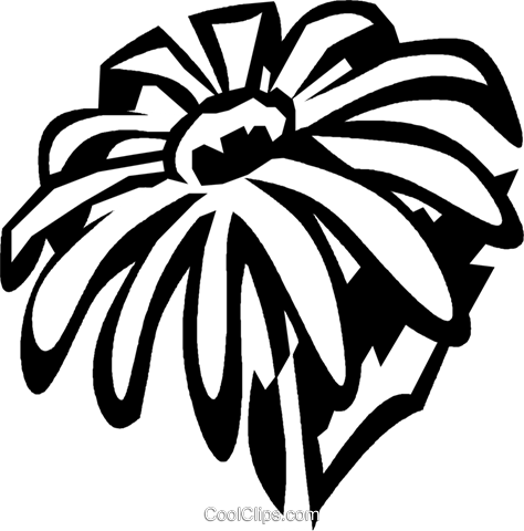 Black-eyed Susan Royalty Free Vector Clip Art Illustration - Black-eyed Susan (474x480), Png Download
