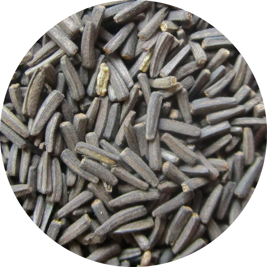 Black Eyed Susan - Pebble (900x900), Png Download