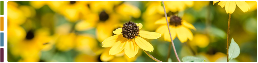 Contact - Northland Counseling Center (1000x253), Png Download