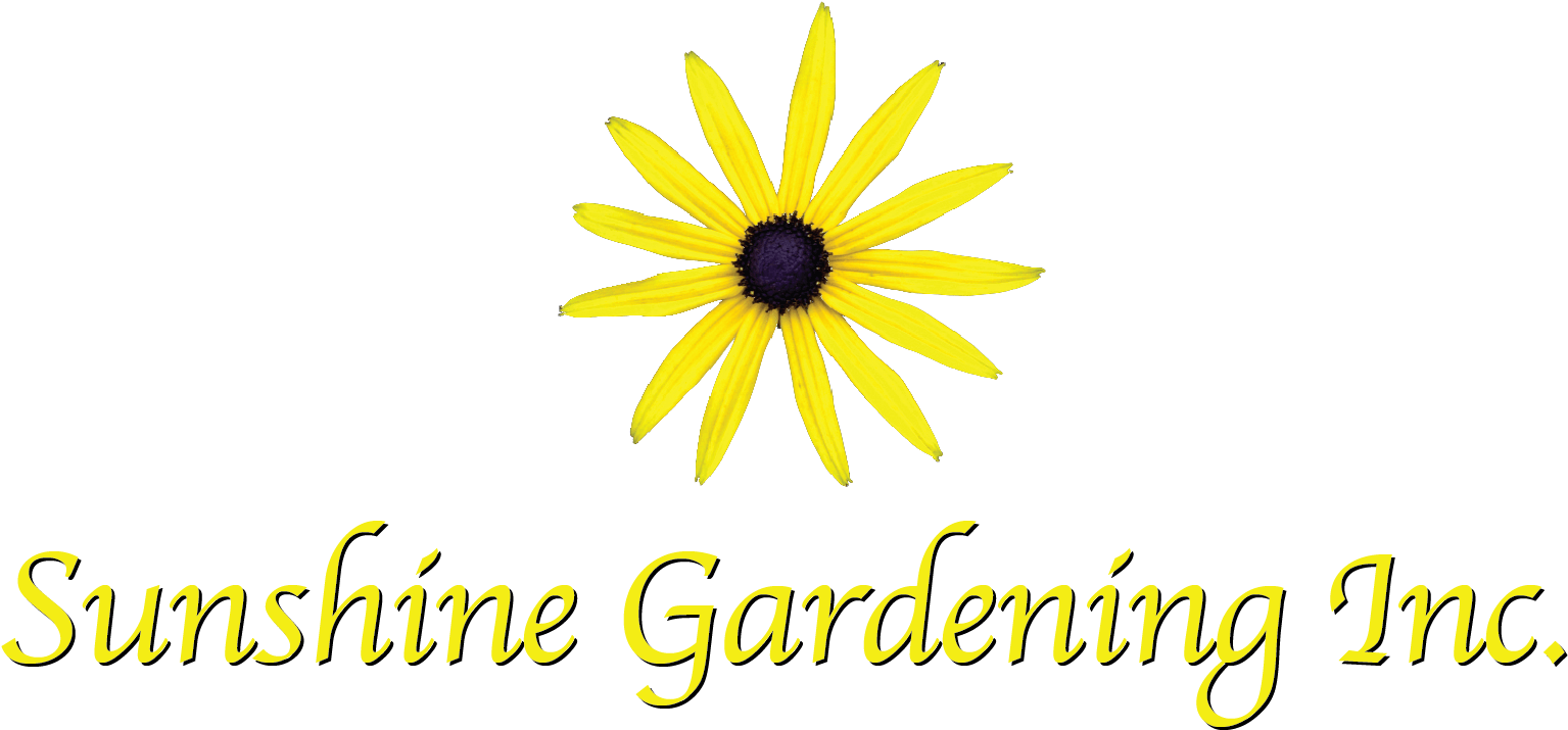 Sunshine Gardening Logo Vertical Sg Logo-vertical - Black-eyed Susan (1588x750), Png Download