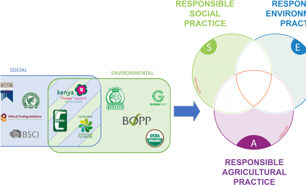 Benchmarking (616x381), Png Download