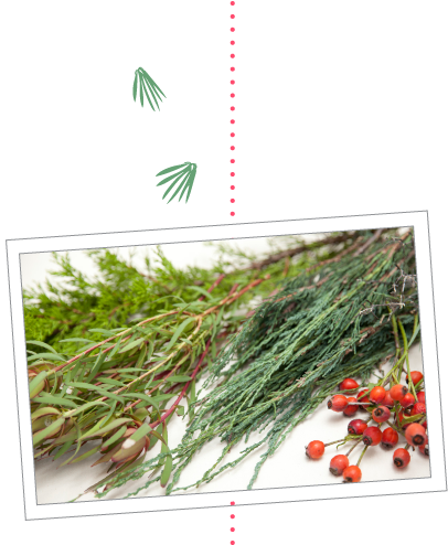 Process The Plants Into Usable Sizes - Grass (460x493), Png Download