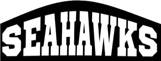 Aph Seahawks Mesh Warp - Vierendeel Bridge (560x320), Png Download