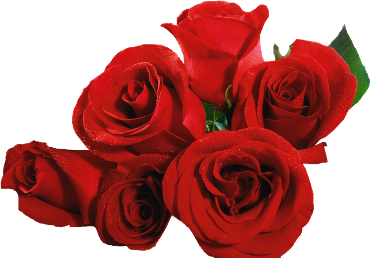 Shop Now - Callaway Gardens (775x531), Png Download