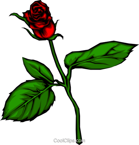 Rosa Vermelha Livre De Direitos Vetores Clip Art Ilustração - Captivated By Love: Sharing And Enhancing Sexuality (460x480), Png Download