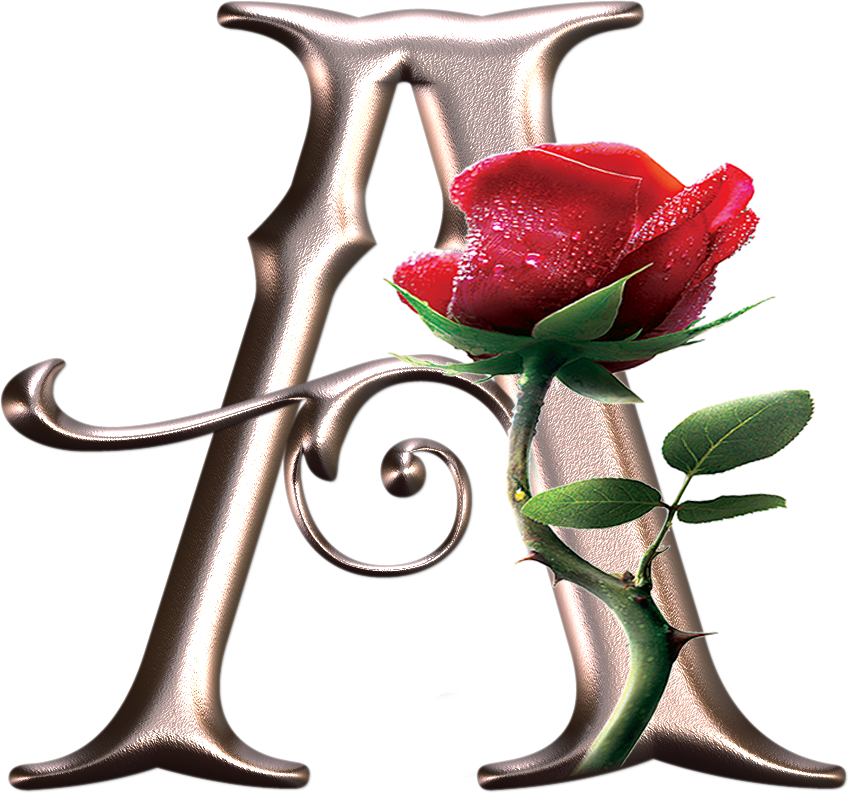 Alfabeto Decorativo Rosa Vermelha - Iniciales Con Rosas (848x793), Png Download