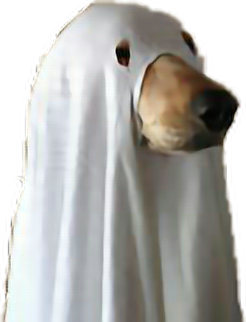 Report Abuse - Spoopy Ghost Dog (352x460), Png Download