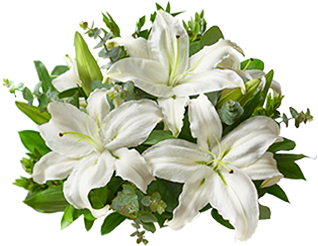 Funeral Flowers Png Stunning Pink Oriental Lily Bouquet - All White Lily Bouquet For Sympathy - Flowers (345x377), Png Download