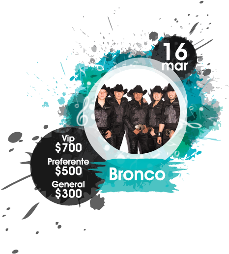 Bronco - International Horse Fair Texcoco (572x572), Png Download