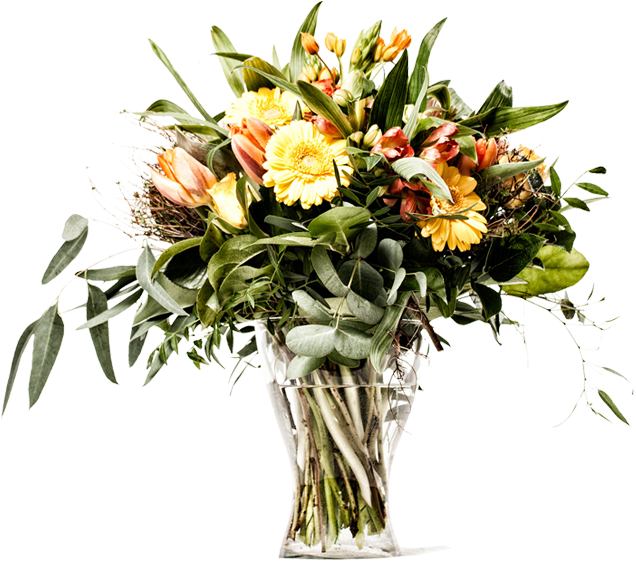 A Floricultura Rosa Vermelha - Flower (636x562), Png Download